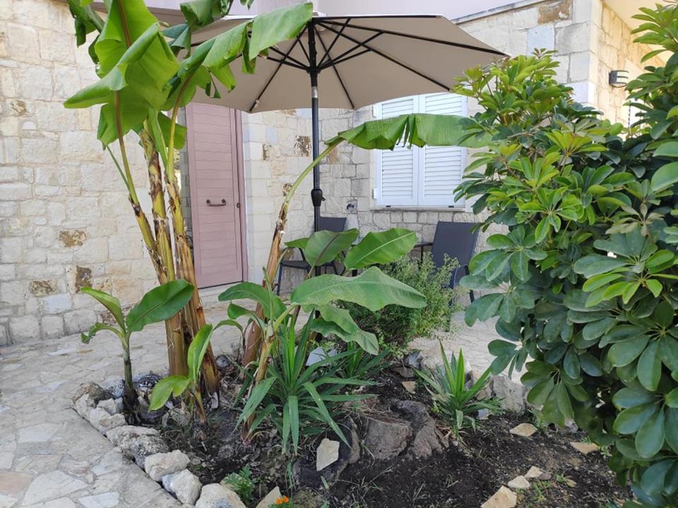 Xenia'S Countryside Guesthouse Agia Marina  Bagian luar foto
