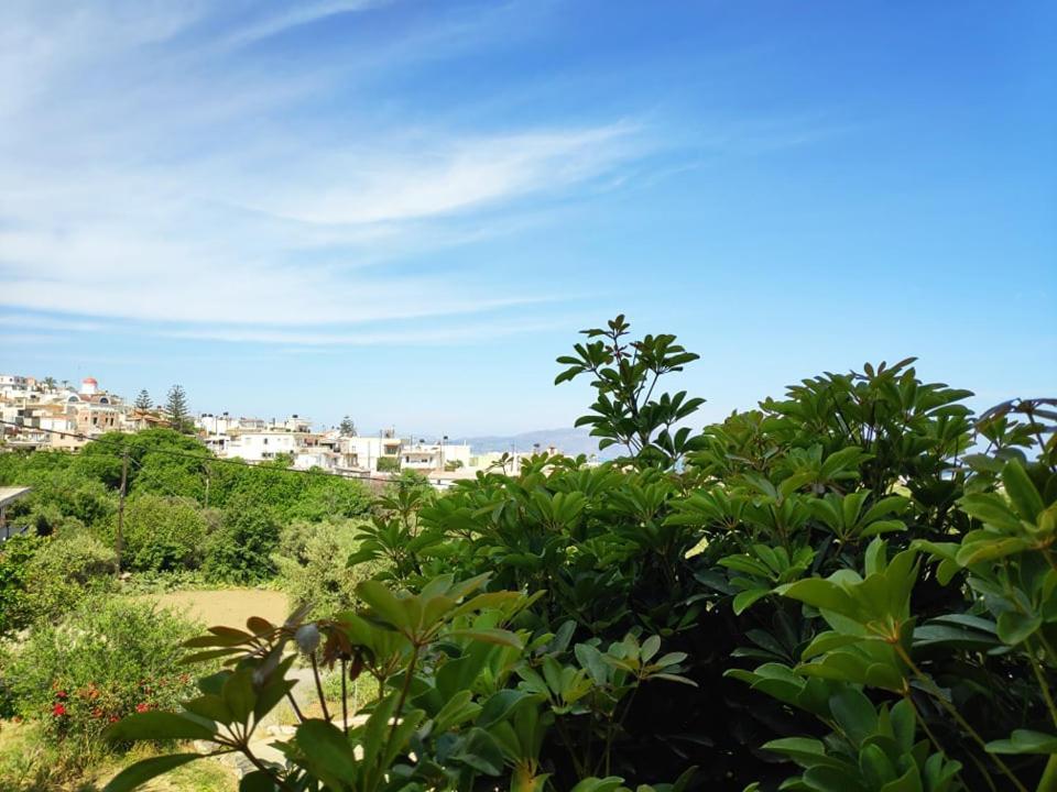 Xenia'S Countryside Guesthouse Agia Marina  Bagian luar foto