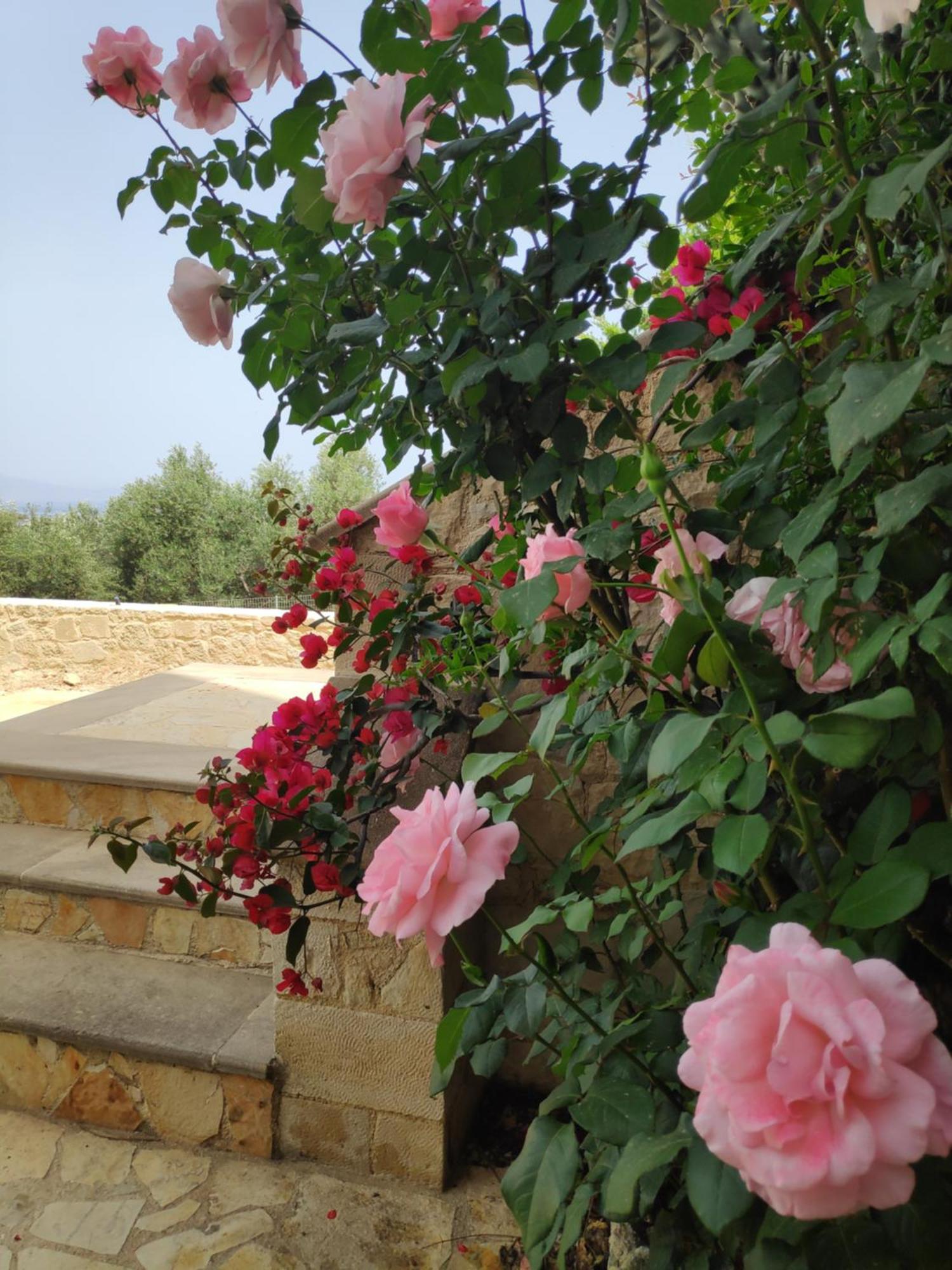 Xenia'S Countryside Guesthouse Agia Marina  Bagian luar foto
